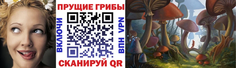 где продают blacksprut как войти Галлюциногенные грибы мухоморы Дыгулыбгей